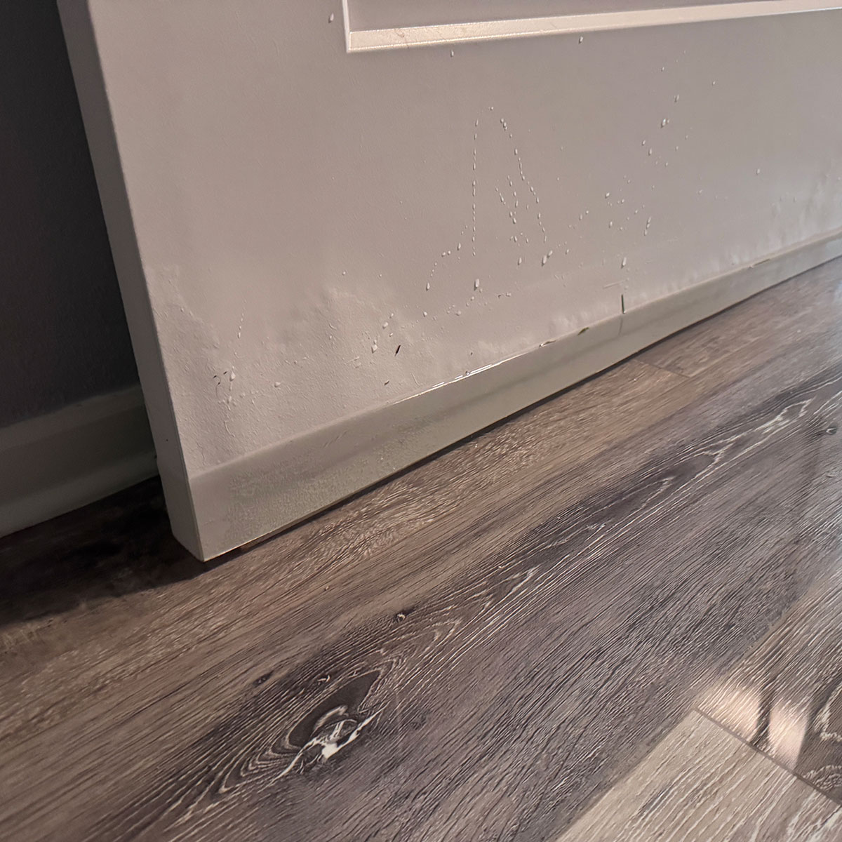 Photo of a flooded room, showing water line above the bottom of a door.